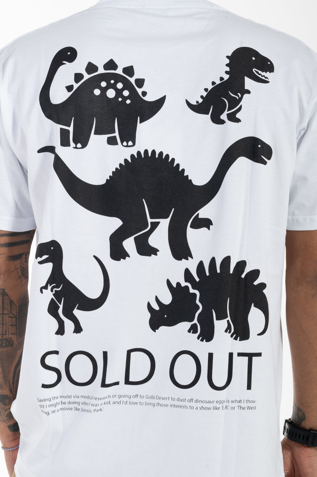 Tee dinosauri berna