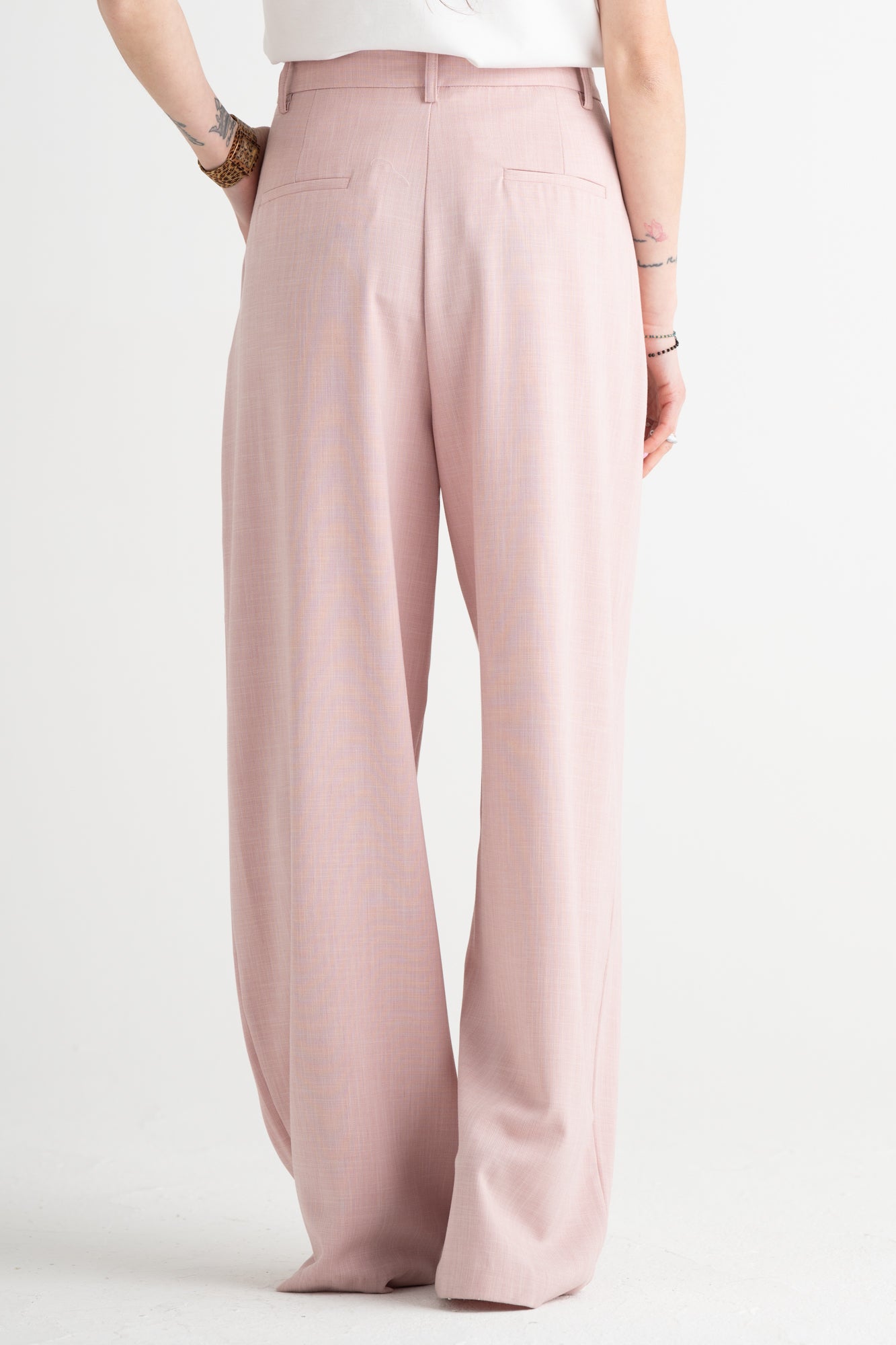 Panta palazzo Giulia