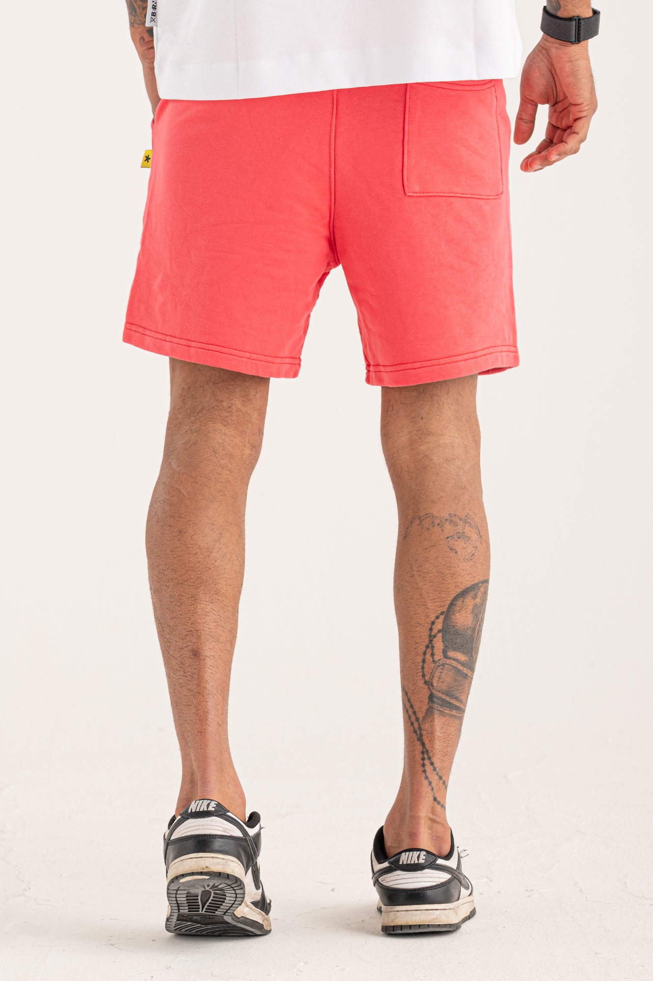 Bermuda Boy
