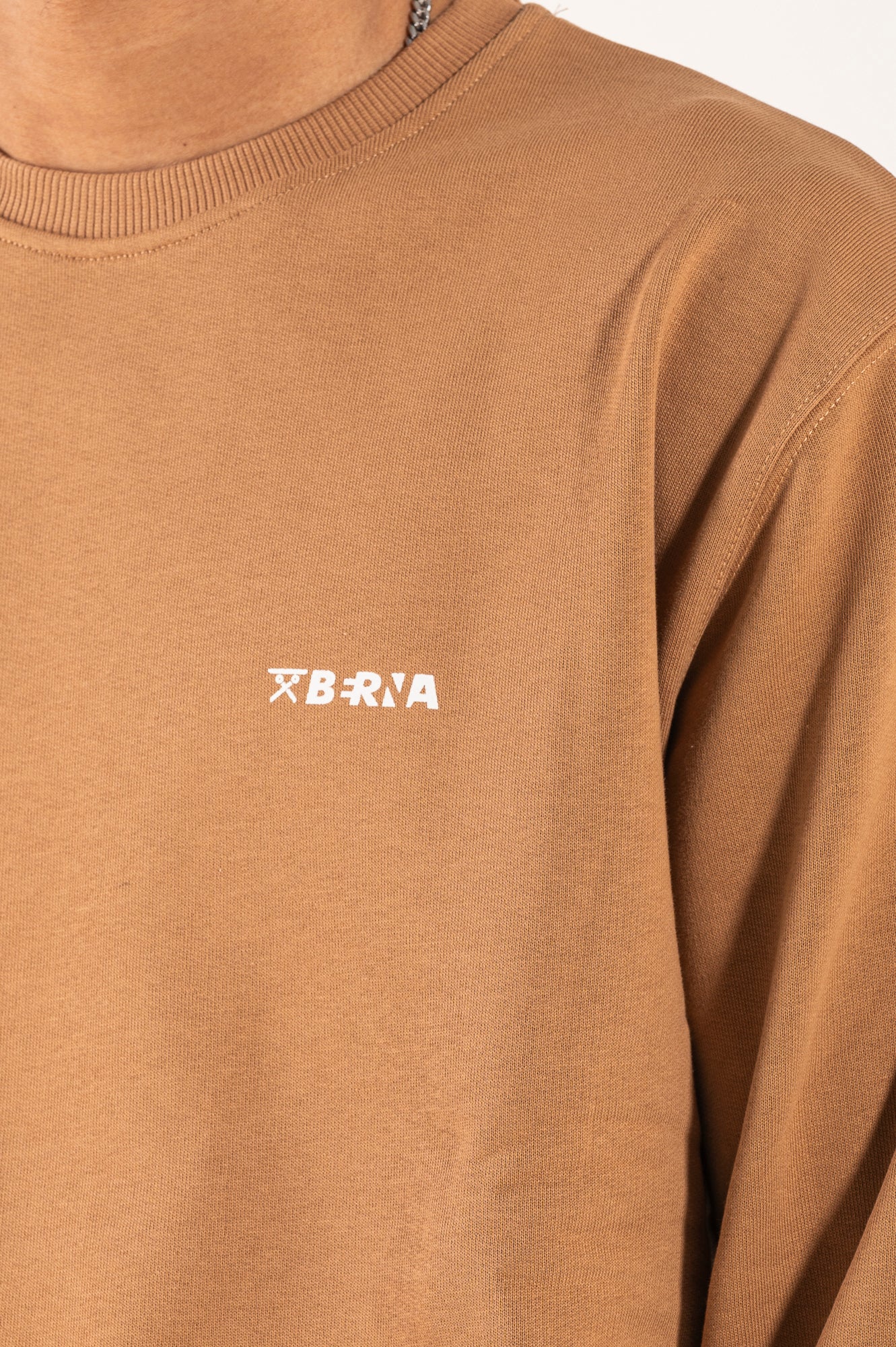 Felpa  Berna girocollo SS/24